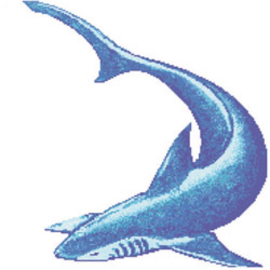 Панно Панно Акула серия Панно Rose