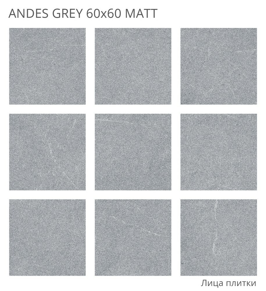Плитка ANDES GREY 60x60 MATT серия Rizzi