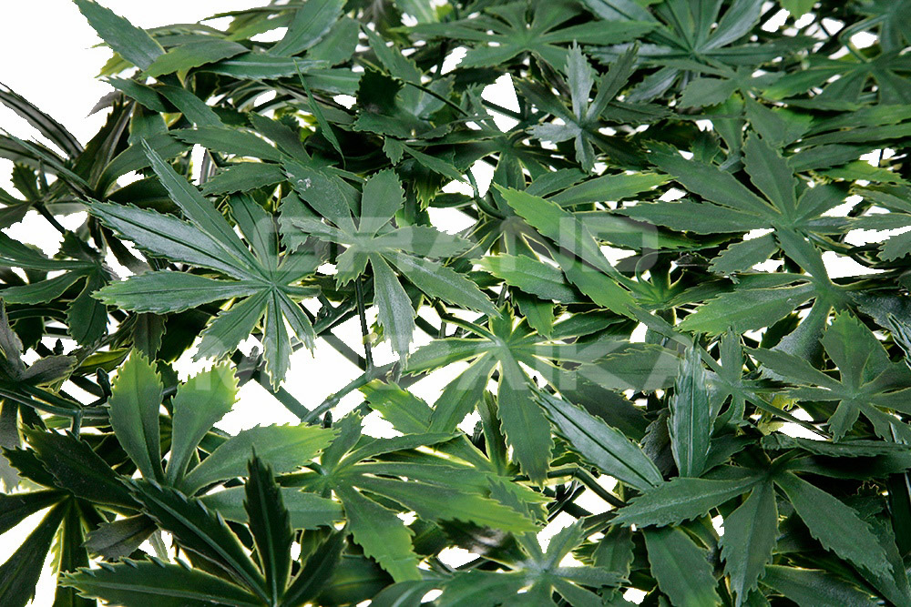 Трава 052286 MZCGZ-06112 серия Grass