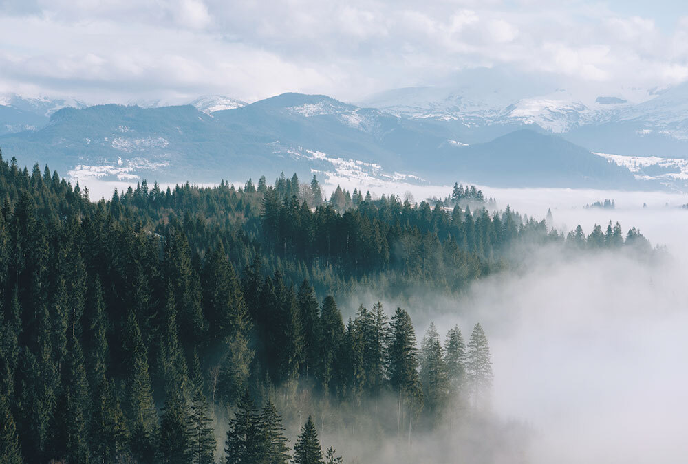 Панно 33608 серия Панно Fa Ro