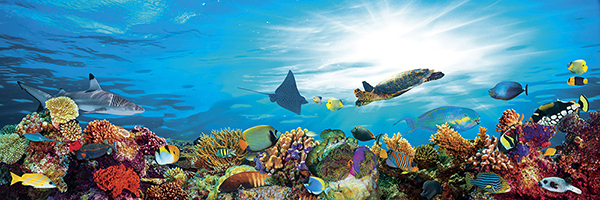 Панно 5897 серия Панно Fa Ro